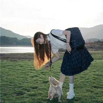 海蒂